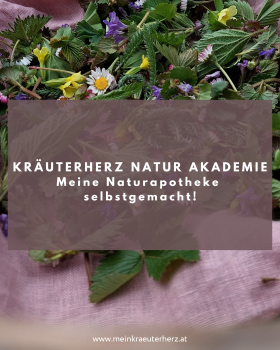 Eine Schüssel voll bunter Frühlingskräuter!